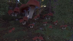 Mushroom Event