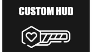 Custom Hud