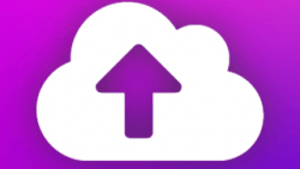 Automatic Plugin Updater