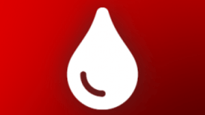 Scientist Bleed