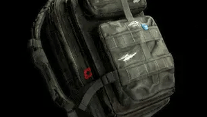Pack Back