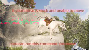 My Horse