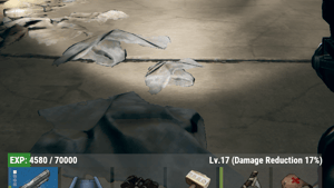 Player Level