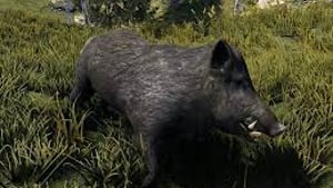 Instant Animal/NPC Kill