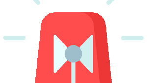 Aalert Raid