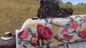 GAGAWeapon