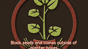 Invasive Plants