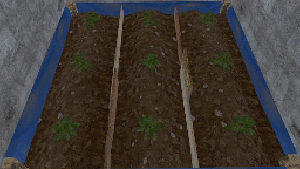 Hardy Planters