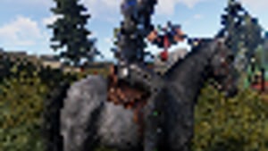 Mount Restrictions