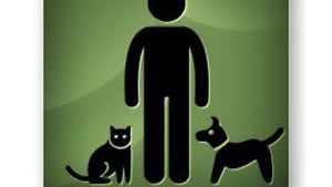 Pets