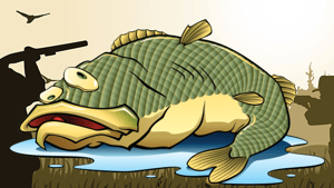 Fish R