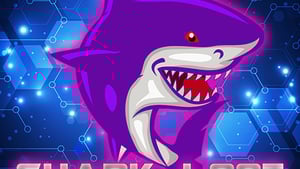 Shark Loot