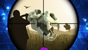 Skin And Bones