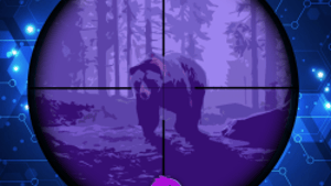 Animals Home
