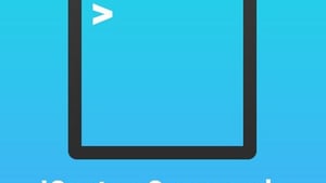 Custom Commands