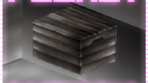 Pocket Dimensions
