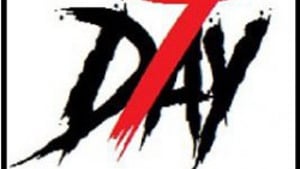 Day 7