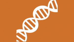 Entity Data
