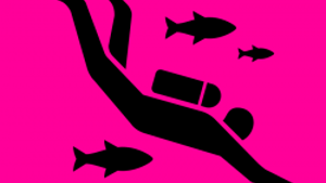 Hazmat Diving