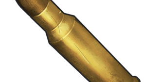 Invisible Bullets