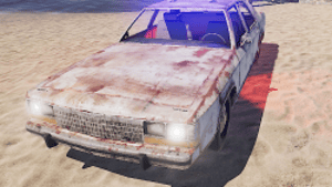 Police Sedan