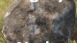 Legacy Nodes