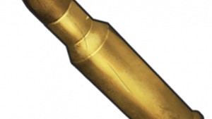 Custom Ammo