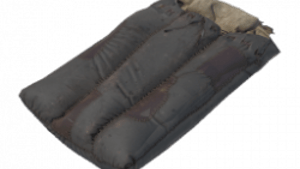 Sleeping Assignee