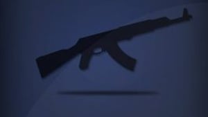 Weapon Damage Scaler