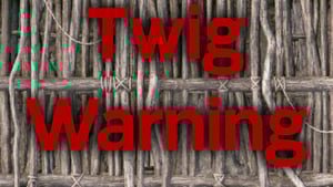 Twig Warning