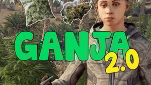 Ganja