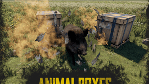 Animal Boxes