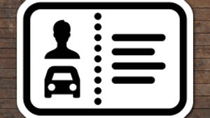 Vehicle License