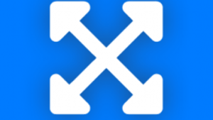 Entity Scale Manager