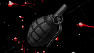 Extra Grenades (EMP / SNAPSHOT)