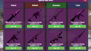 Special Items