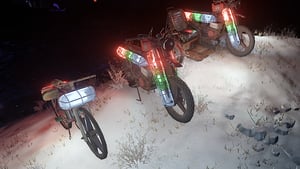 Vehicle Christmas Light
