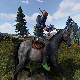 Mount Restrictions