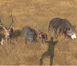 Custom Animal Spawns